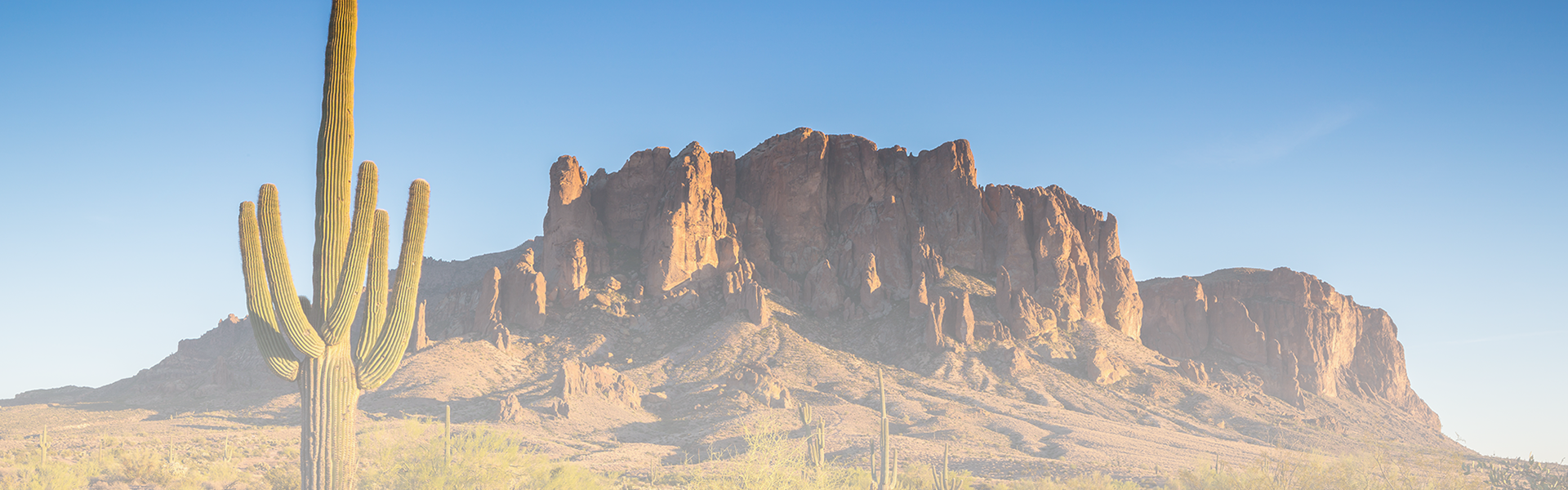 メキシコの山を背景にサボテンが手前に移っている画像